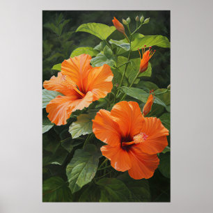 Orange Hibiscus Flower Art Imprimer Poster