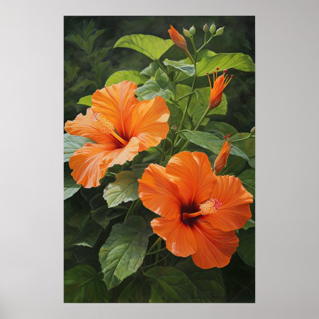 Orange Hibiscus Flower Art Imprimer Poster (Devant)