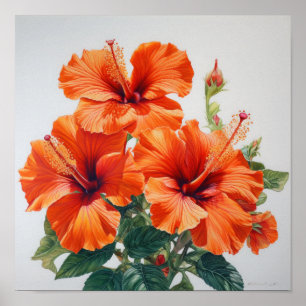 Orange Hibiscus Flower Art Imprimer Poster