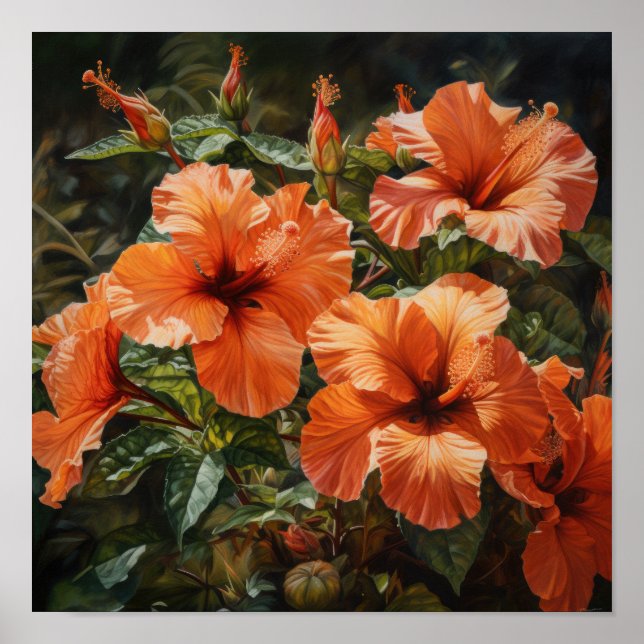 Orange Hibiscus Flower Art Imprimer Poster (Devant)