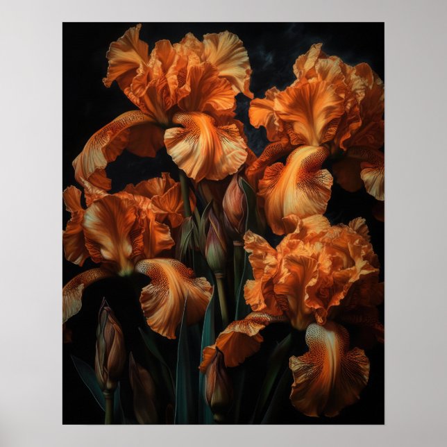 Orange Iris Fleurs Art Imprimer Poster (Devant)