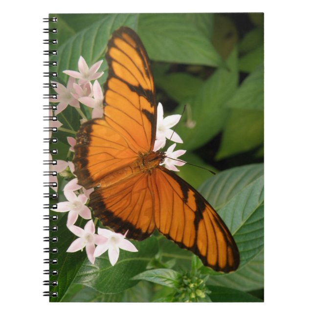 Orange Julia Butterfly Carnet (Devant)