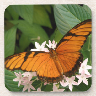 Orange Julia Butterfly Cork Dessous de verre