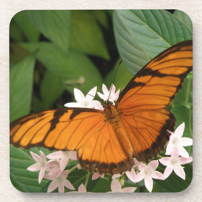 Orange Julia Butterfly Cork Dessous de verre (Devant)