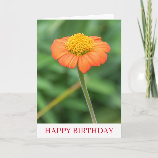 Orange marguerite proche carte d'anniversaire (Devant)