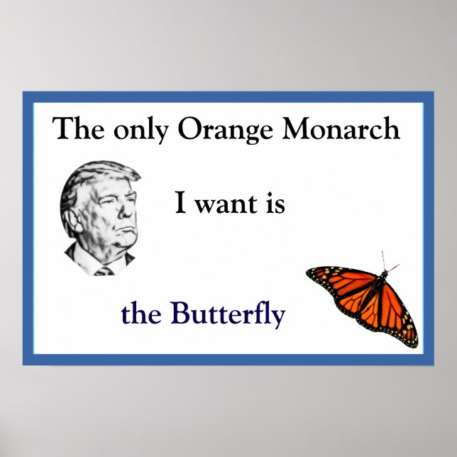 Orange Monarch Poster (Devant)