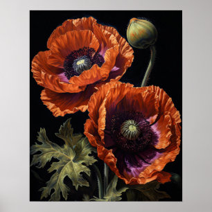 Orange Oriental Poppy Fleurs Art Imprimer Poster