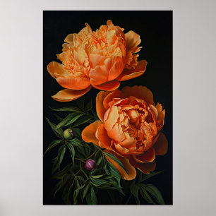 Orange Peonies Flower Art Imprimer Poster
