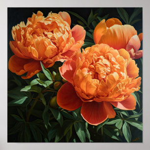 Orange Peonies Flower Art Imprimer Poster