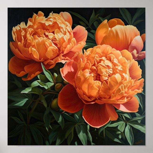 Orange Peonies Flower Art Imprimer Poster (Devant)