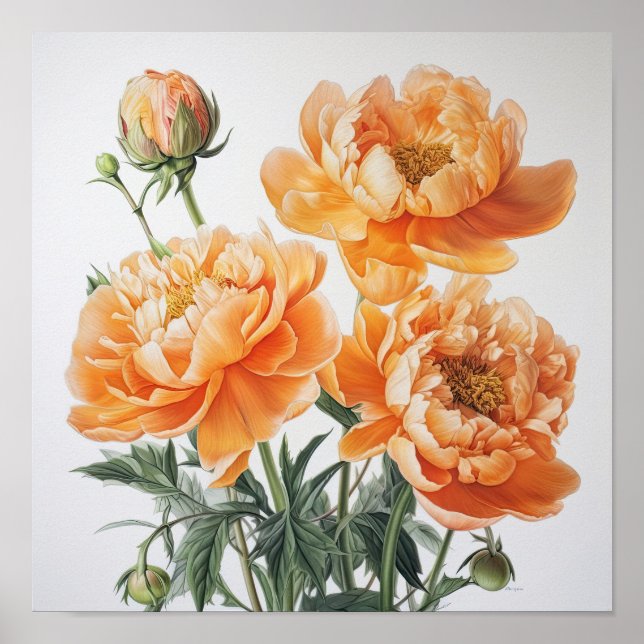 Orange Peonies Flower Art Imprimer Poster (Devant)