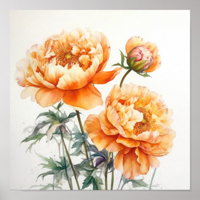 Orange Peonies Flower Art Imprimer Poster (Devant)