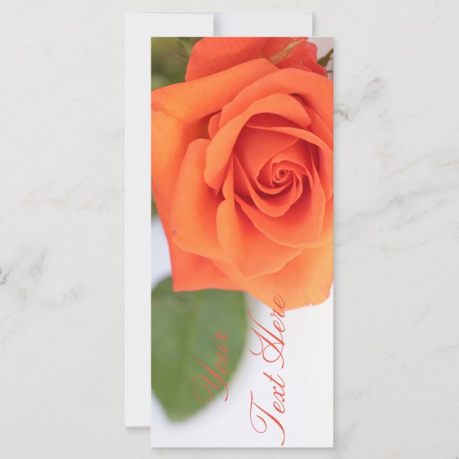 Orange Rose Ajouter Votre Carte Plat Texte (Devant)
