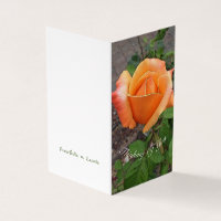 Orange Rosebud