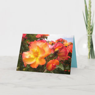Orange Roses Jaunes Fleurs florales Carte Annivers