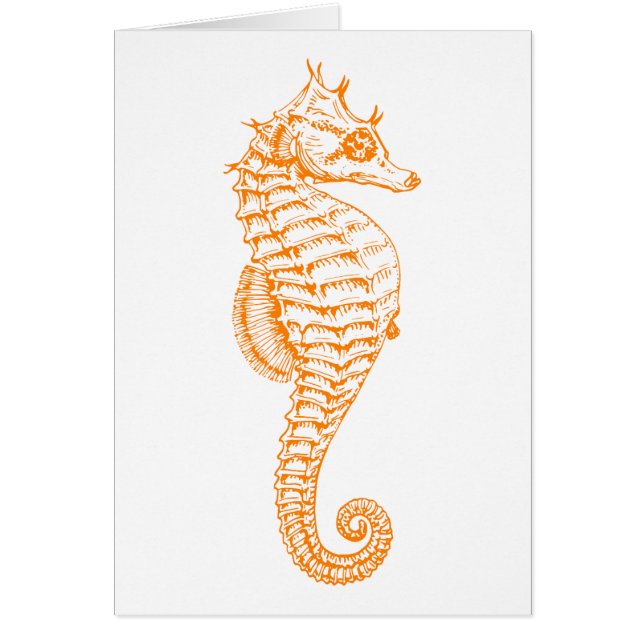 Orange Seahorse (Devant)
