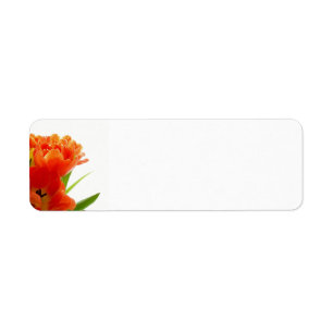 Orange Tulips Retourner les étiquettes d'adresse