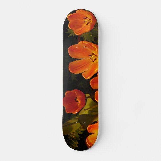 Orange Tulips Skateboard (Recto)