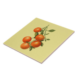 Oranges ~ Carreaux Botaniques ~ Cuisine ~ Toute Co