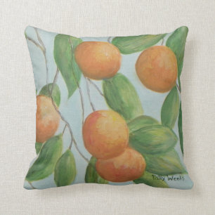 ORANGES de coussin de la FLORIDE