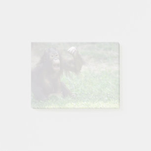 Orangutan Redd au National Zoo Post-it Notes