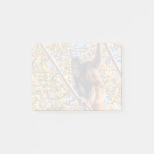 Orangutan Redd au National Zoo Post-it Notes