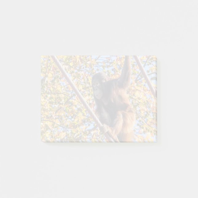Orangutan Redd au National Zoo Post-it Notes (Devant)