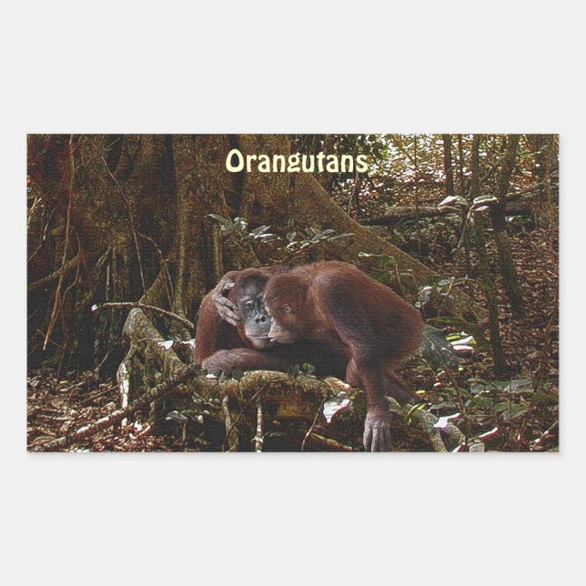 Orangutans & Jungle Great Ape Primate Stickers (Devant)