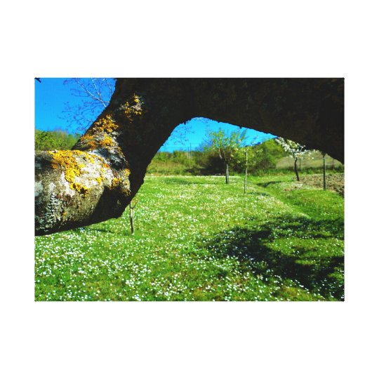 Oratino - nature toile
