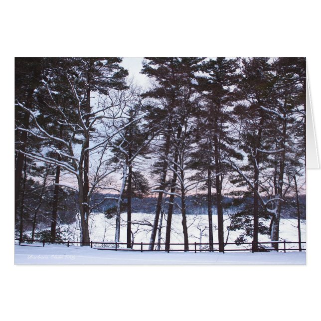 Oratorios, les opéras, dans la nature. (Devant horizontal)