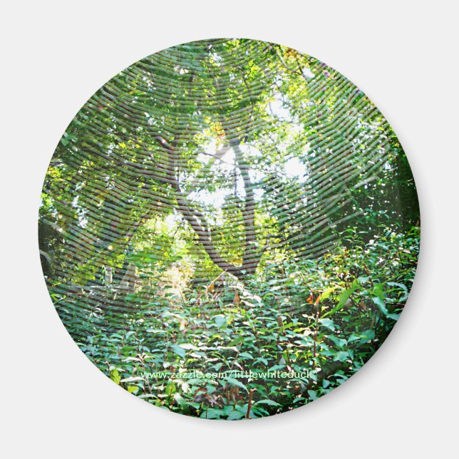 Orb Spider Web - Magnet (Devant)