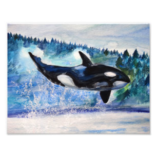 Orca, photo de l'aquarelle