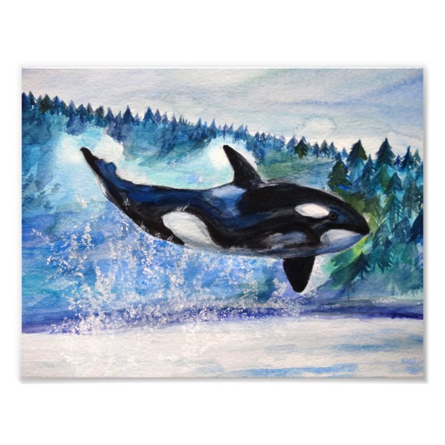 Orca, photo de l'aquarelle (Devant)