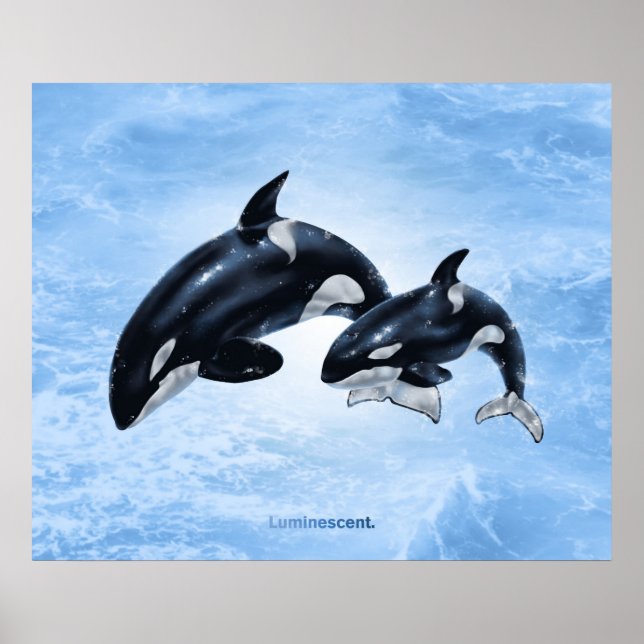 Orca - Poster (Devant)