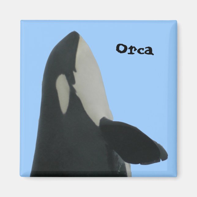 Orca Spyhop Magnet (Devant)