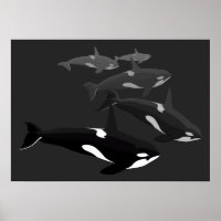 Orca Whale Art Poster Tueur Whale Imprimé toile