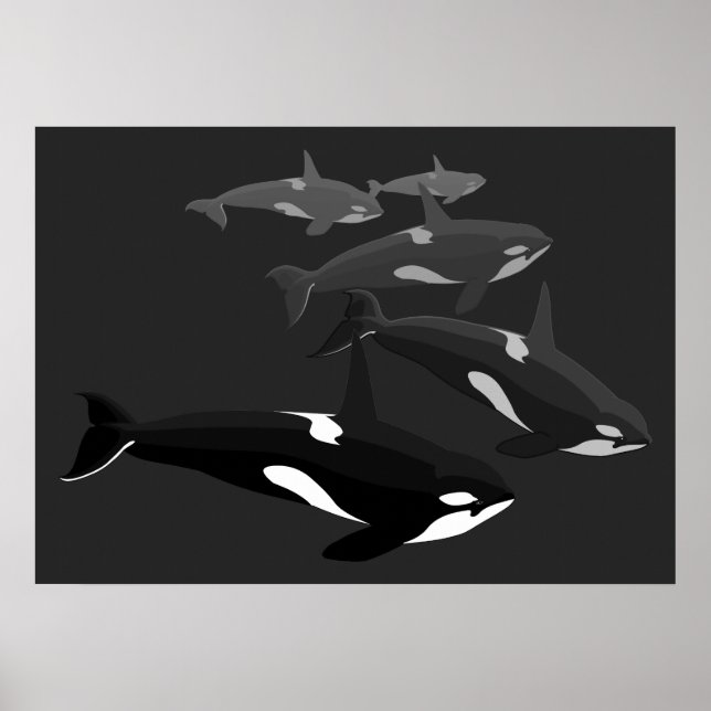 Orca Whale Art Poster Tueur Whale Imprimé toile (Devant)