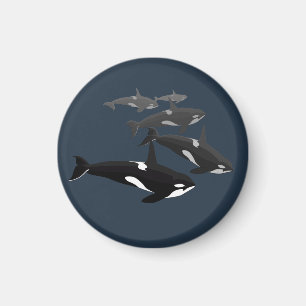 Orca Whale Frigo Magnet Killer Whale Art Magnets