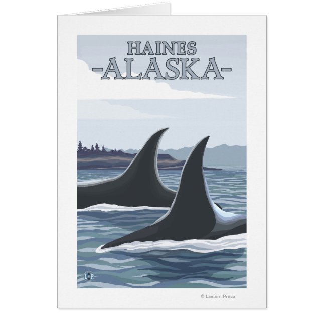 Orca Whales #1 - Haines, Alaska (Devant)