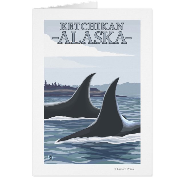 Orca Whales #1 - Ketchikan, Alaska (Devant)