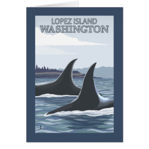 Orca Whales #1 - Lopez, Washington