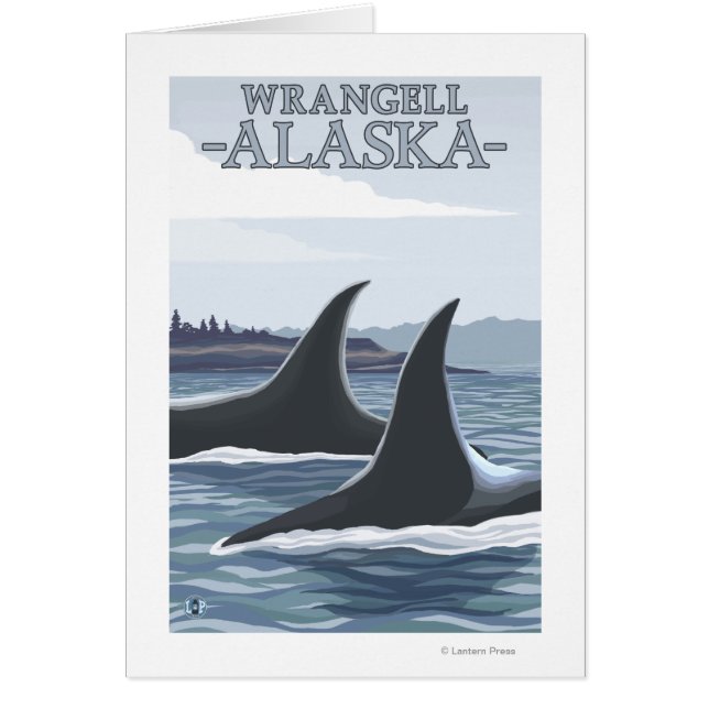 Orca Whales #1 - Wrangell, Alaska (Devant)