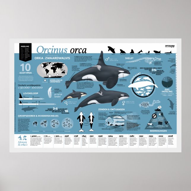 Orcagraphic poster - édition néerlandaise (Devant)