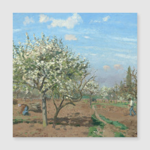 Orchard à Bloom, Louveciennes Camille Pissarro