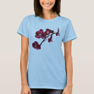 Orchid n° 15 en haut