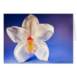 Orchid N'importe quelle carte de jour