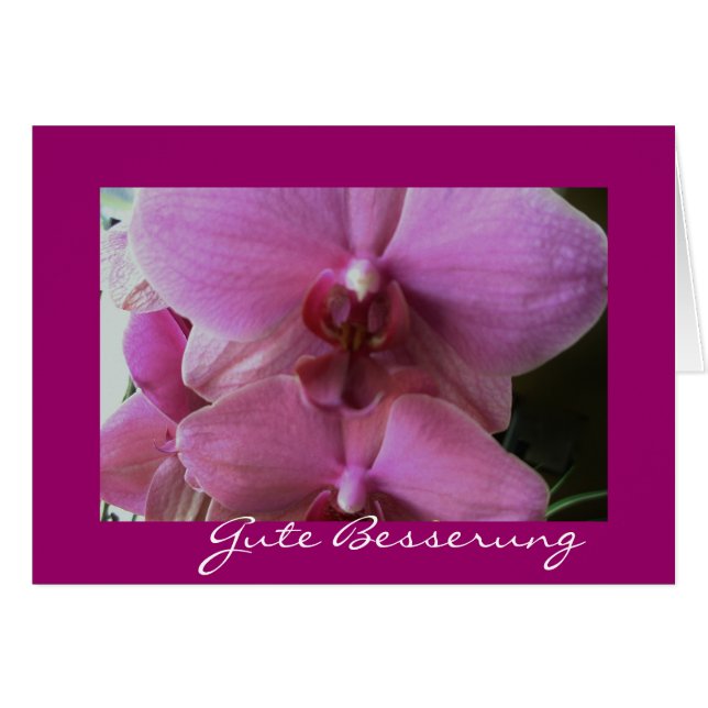 Orchidée (Devant Horizontal)