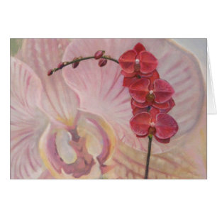 Orchidée