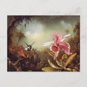 Orchidée avec deux invitations de colibris