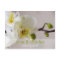 Orchidée blanche ・ Carte postale Faire-part de mar